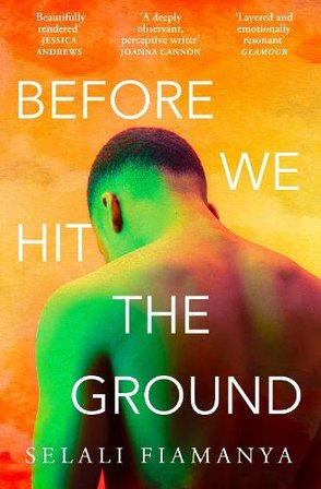 Before We Hit the Ground bookcover