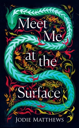 Meet Me at the Surface bookcover