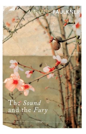 The Sound and the Fury bookcover