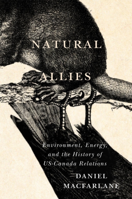 Natural Allies – Environment, Energy, and the History of US–Canada Relations