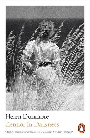 Zennor in Darkness bookcover