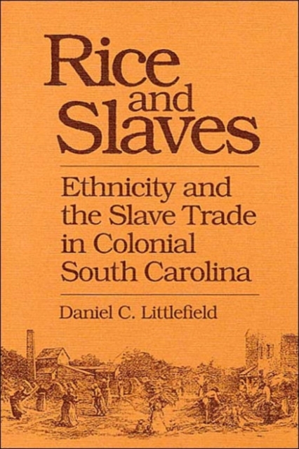 Rice and Slaves – Ethnicity and the Slave Trade in Colonial South Carolina
