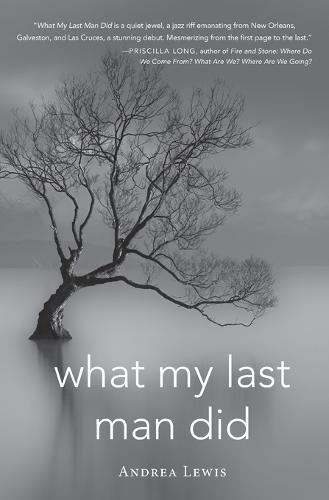 What My Last Man Did Lewis Long Brown Houston Paperback John Wiley & Sons