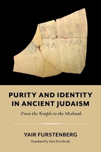 Purity and Identity in Ancient Judaism – From the Temple to the Mishnah Hardback