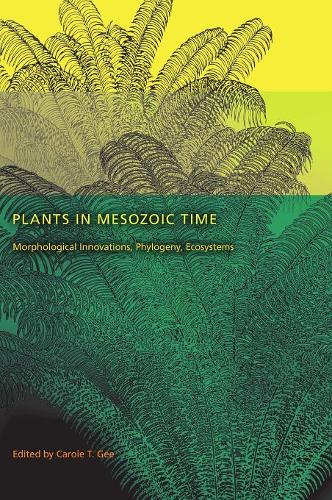 Plants in Mesozoic Time – Morphological Innovations, Phylogeny, Ecosystems Gee