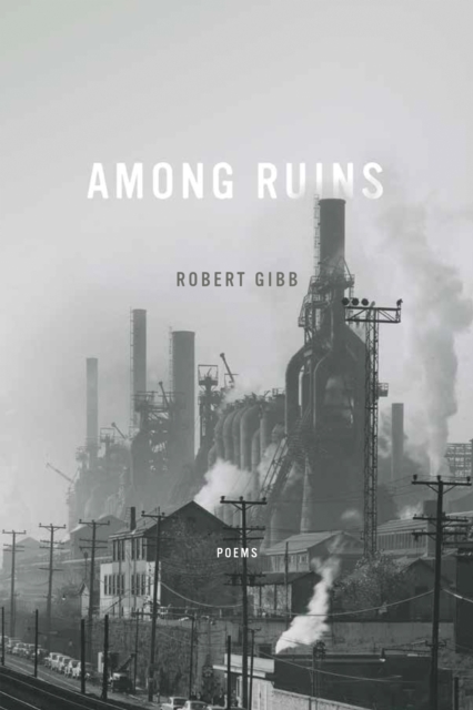 Among Ruins Gibb Hardback John Wiley & Sons 9780268102098