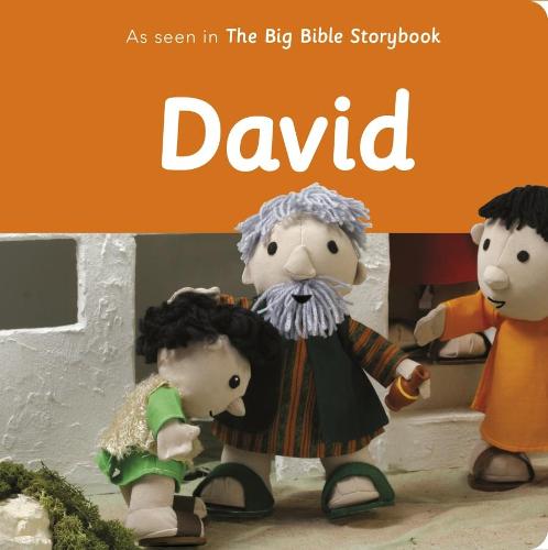 David – As Seen In The Big Bible Storybook Barfield Carpenter Paperback SPCK