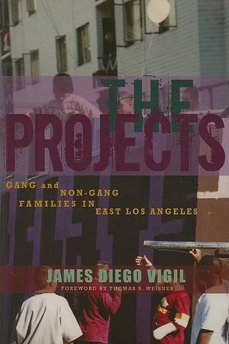 The Projects – Gang and Non–Gang Families in East Los Angeles Vigil Paperback