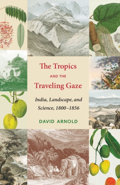 The Tropics and the Traveling Gaze – India, Landscape, and Science, 1800–1856