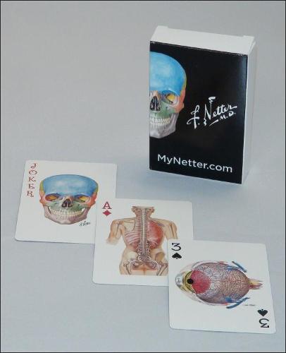 Netter Playing Cards Netter's Anatomy Art Card Deck (Single Pack) Netter Cards