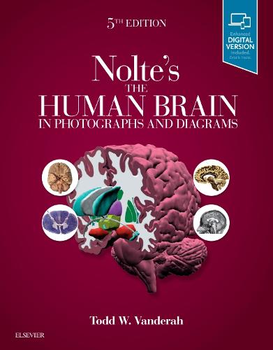Nolte's The Human Brain in Photographs and Diagrams Vanderah Paperback 5e