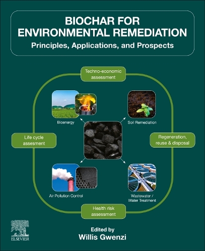 Biochar for Environmental Remediation Principles, Applications, and Prospects