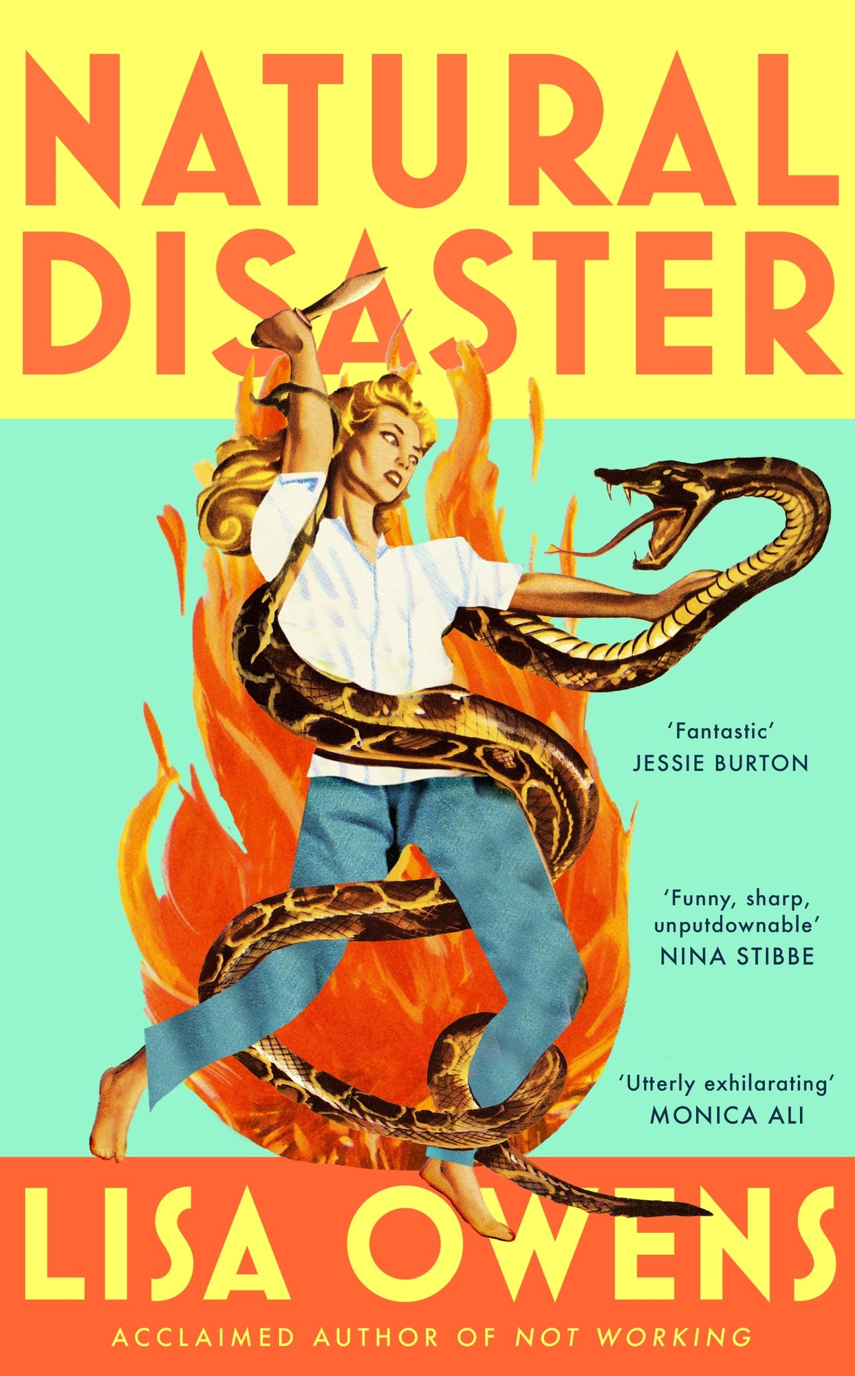 Natural Disaster: 'Mrs Dalloway meets Motherland' (The Times) in this hilariously relatable, sharply observed new novel from the author of NOT WORKING