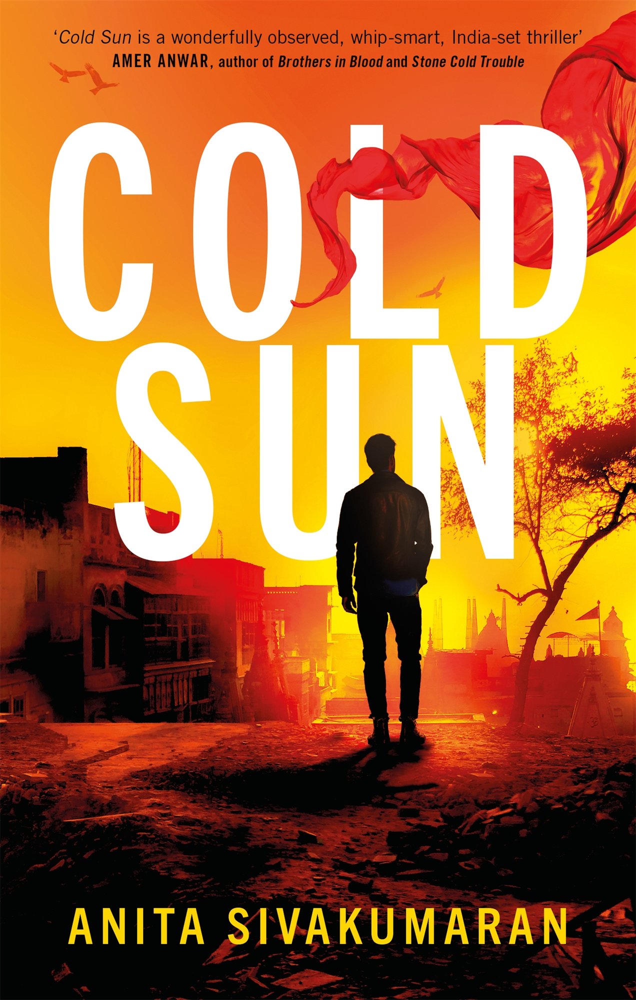 Cold Sun a book by Anita Sivakumaran - Bookshop.org UK