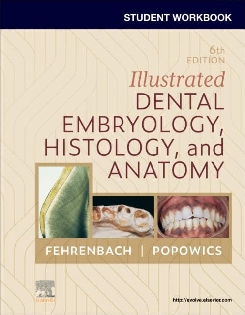 Student Workbook for Illustrated Dental Embryology, Histology and Anatomy 6e