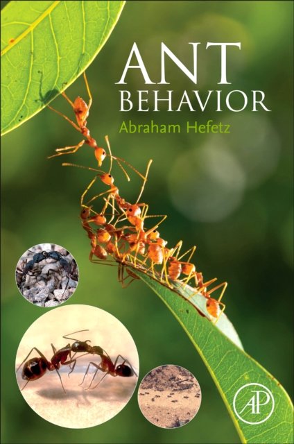 Ant Behavior Hefetz Paperback Academic Press 9780443161087