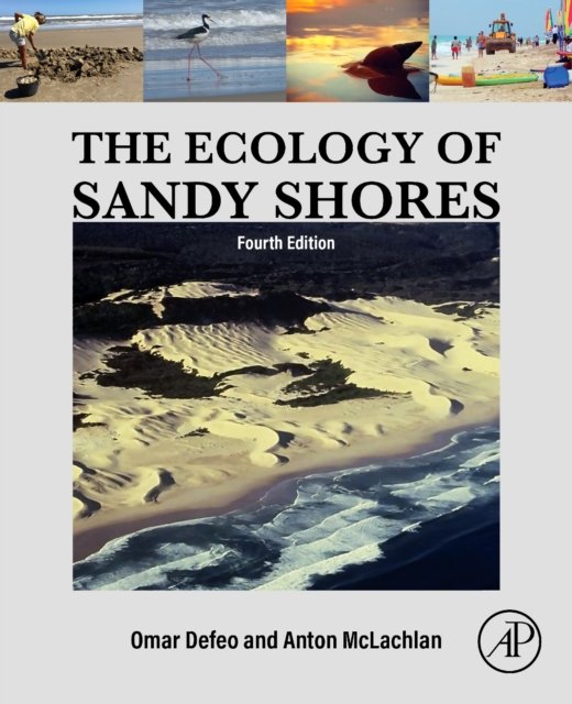The Ecology of Sandy Shores Defeo McLachlan Paperback Academic Press 4e