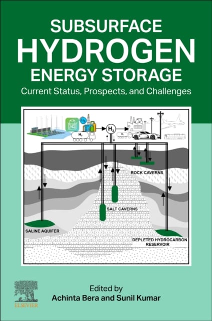 Bera Kumar Paperback Elsevier 9780443240713