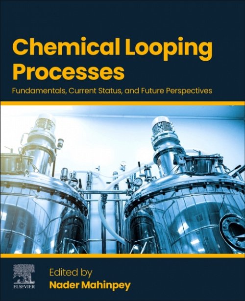 Chemical Looping Processes Fundamentals, Current Status, and Future Perspectives