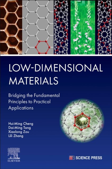 Low-Dimensional Materials Cheng Tang Zou Zhang Paperback Elsevier 9780443290466