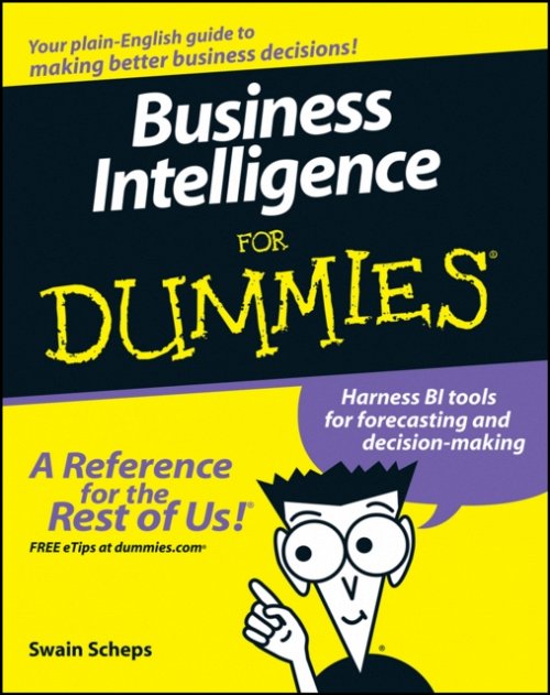 Business Intelligence For Dummies Scheps Paperback John Wiley & Sons
