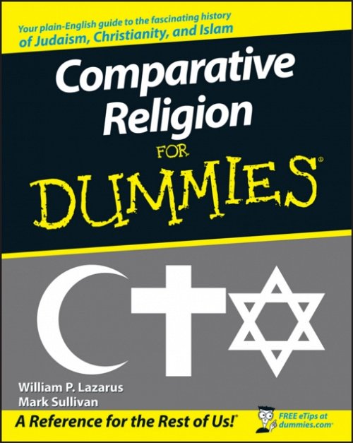 Comparative Religion For Dummies Lazarus Paperback John Wiley & Sons