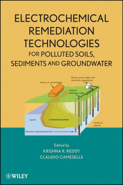 Electrochemical Remediation Technologies for Polluted Soils, Sediments and Grou…