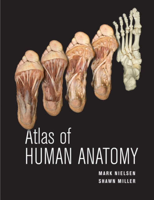 Atlas of Human Anatomy 1e (WSE) Nielsen Paperback John Wiley & Sons