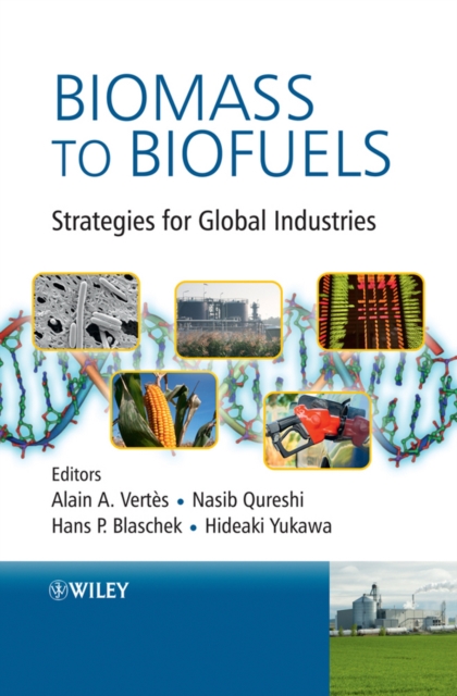 Biomass to Biofuels – Strategies for Global Industries Vertes Hardback