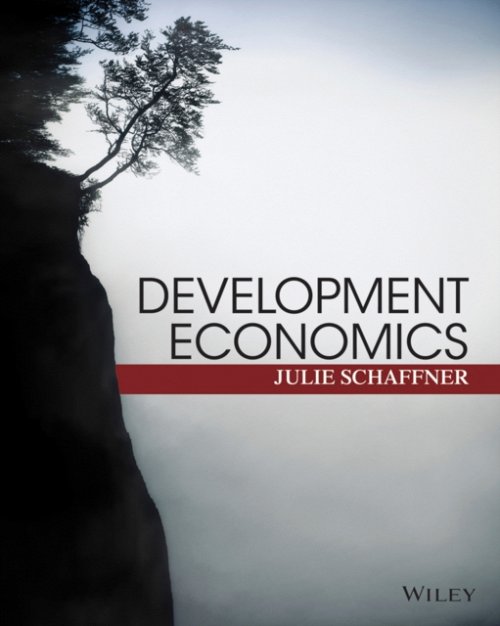 Development Economics – Theory, Empirical Research, and Policy Analysis (WSE)