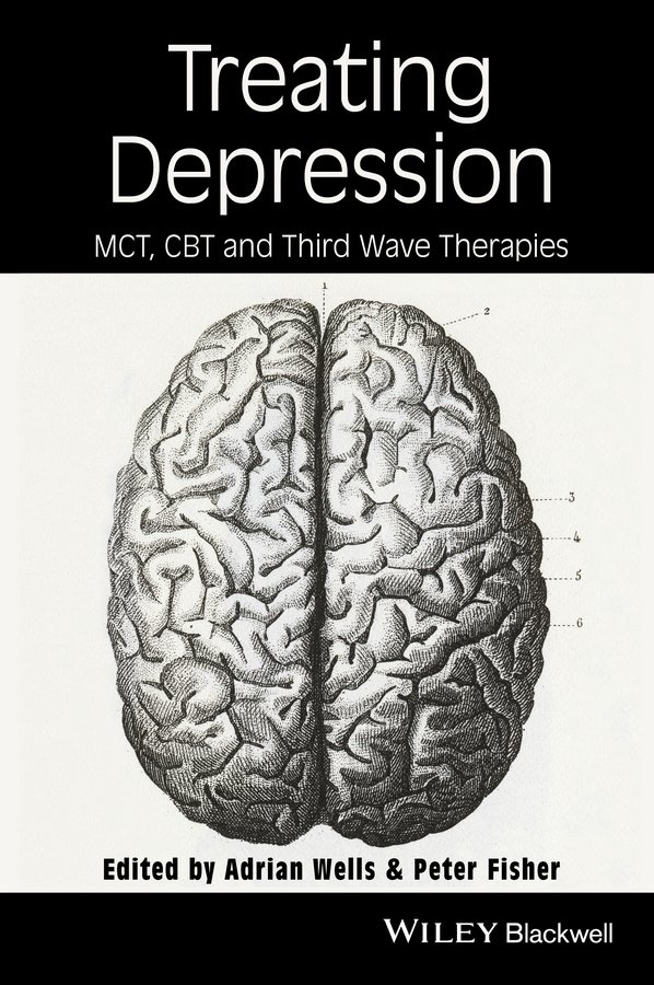 Treating Depression – MCT, CBT and Third Wave pies Wells Hardback 9780470759059