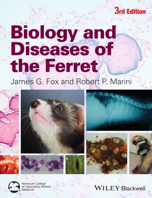 Biology and Diseases of the Ferret Fox Hardback Wiley–Blackwell 9780470960455