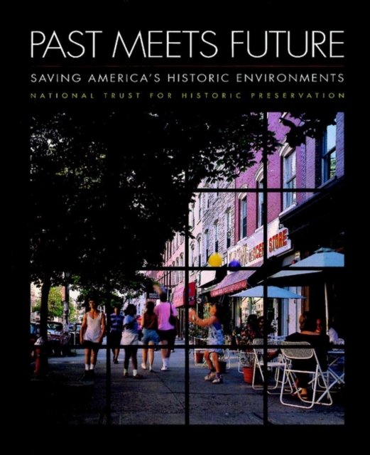Past Meets Future – Saving America′s Historical Environments Lee Paperback