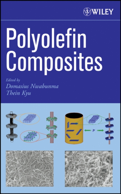 Polyolefin Composites Nwabunma Hardback Wiley–Blackwell 9780471790570