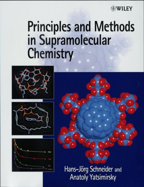 Principles & Methods in Supramolecular Chemistry Schneider Paperback