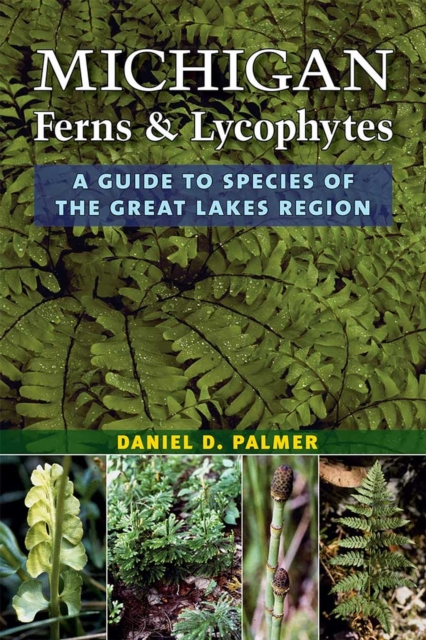 Michigan Ferns and Lycophytes – A Guide to Species of the Great Lakes Region