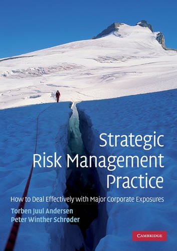 Strategic Risk Management Practice How to Deal Effect… 9780521132152 Cond=LN:NSD