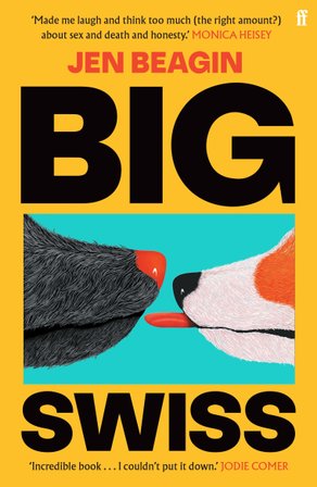 Big Swiss bookcover