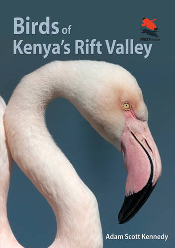 Birds of Kenya`s Rift Valley Kennedy Paperback 9780691159072