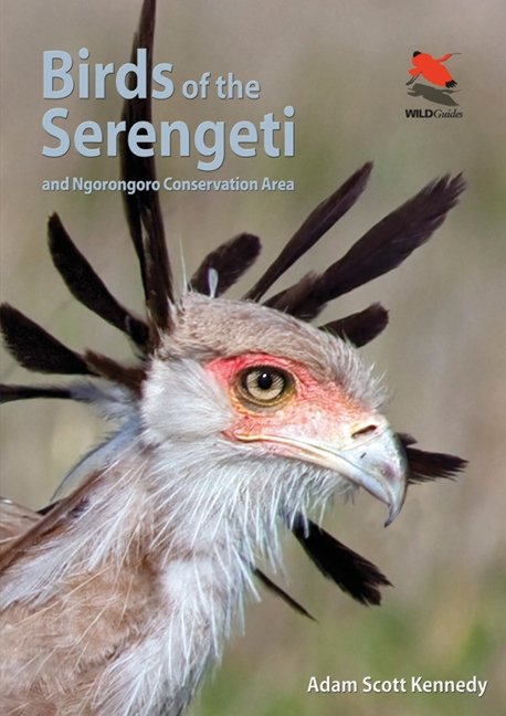 Birds of the Serengeti – And Ngorongoro Conservation Area: And Ngorongoro Conservation Area