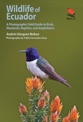 Wildlife of Ecuador – A Photographic Field Guide to Birds, Mammals, Reptiles, a…