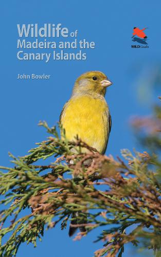 Wildlife of Madeira and the Canary Islands – A Photographic Field Guide to Bird…