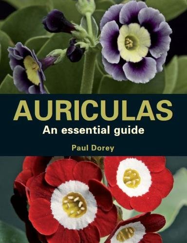 Auriculas – An Essential Guide Dorey Paperback The Crowood Press 9780719841804