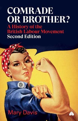 Comrade or Brother? – A History of the British Labour Movement Davis Paperback