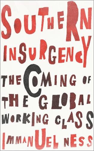 Southern Insurgency – The Coming of the Global Working Class Ness Paperback