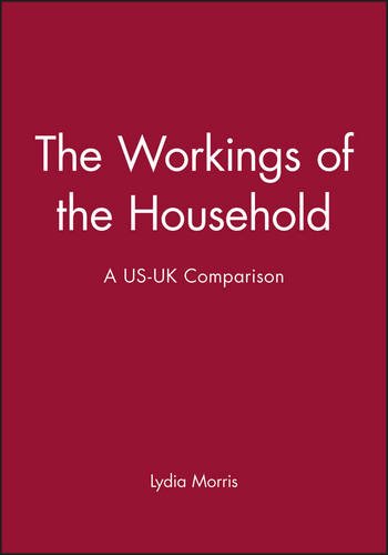 The Workings of the Household Morris Paperback Polity Press 9780745604428