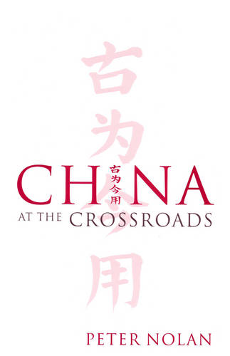 China at the Crossroads Nolan Hardback Polity Press 9780745632384