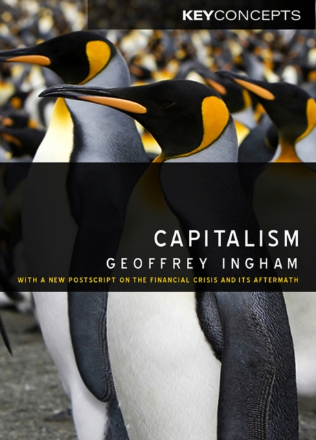 Capitalism Ingham Hardback Polity Press 9780745636474
