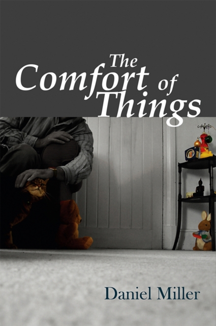 The Comfort of Things Miller Paperback Polity Press 9780745644042