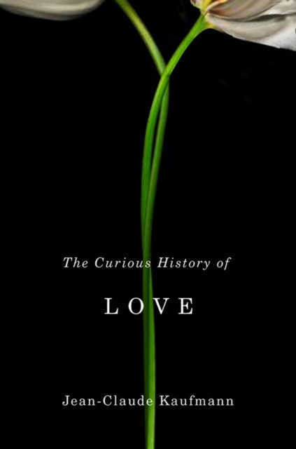 The Curious History of Love Kaufmann Paperback Polity Press 9780745651545